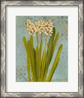 Framed 'Hyacinth on Teal II' border=