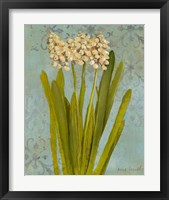 Framed 'Hyacinth on Teal II' border=