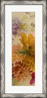 Framed Blooming Panel II