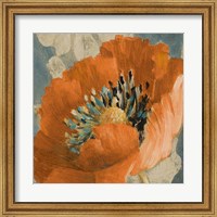 Framed Orange Poppy