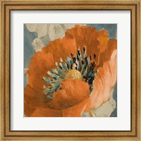 Framed Orange Poppy