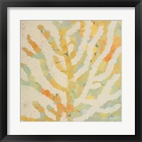 Framed 'Coral Vision I' border=