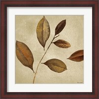 Framed Antiqued Leaves I
