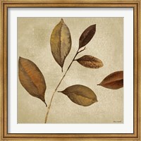 Framed Antiqued Leaves I