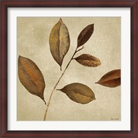 Framed Antiqued Leaves I