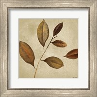 Framed Antiqued Leaves I