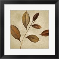 Framed Antiqued Leaves I