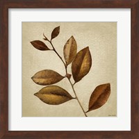 Framed 'Antiqued Leaves II' border=