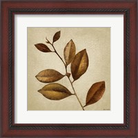 Framed Antiqued Leaves II