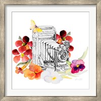 Framed Camera Sketch on Fall Floral I
