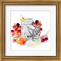 Framed Camera Sketch on Fall Floral I