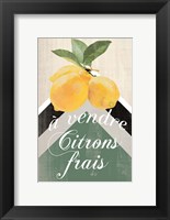 Framed Citron Frais
