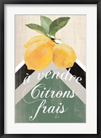 Framed Citron Frais