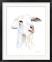 Framed Goat I
