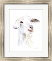 Framed 'Goat I' border=