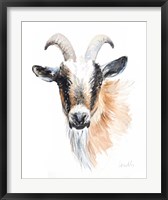 Framed Goat II