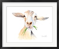 Framed Goat III