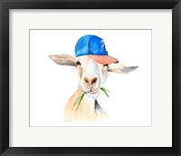 Framed Cool Goat