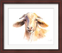 Framed Morning Goat