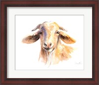Framed Morning Goat