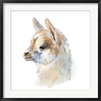 Framed Side Portrait Llama