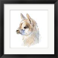 Framed Side Portrait Llama