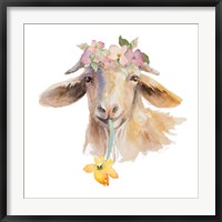 Framed Flower Goat