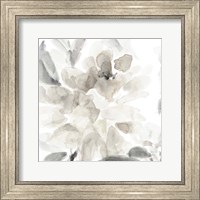 Framed Soft May Blooms II