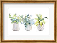 Framed Decorative Plant Arrangement I