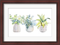 Framed Decorative Plant Arrangement I