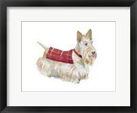 Framed Wheaten Scotty