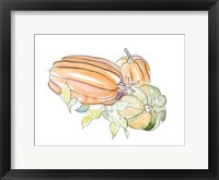 Framed Harvest Pumpkin and Squash I