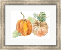 Framed Pumpkin Harvest I