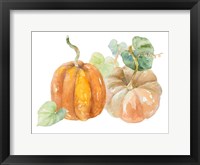 Framed Pumpkin Harvest I