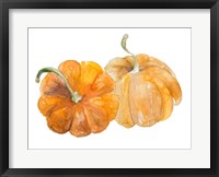 Framed Pumpkin Harvest II