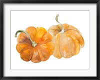 Framed Pumpkin Harvest II