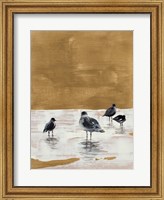 Framed Seagulls Chillin'