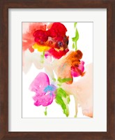 Framed Abstract Flower Study