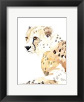 Framed Seated Cheetah