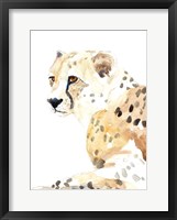 Framed Seated Cheetah