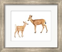 Framed Two Young Deer
