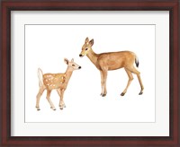 Framed Two Young Deer