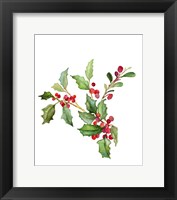 Framed Holly Branches II