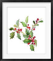 Framed Holly Branches II