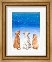 Framed Three Dogs Star Gazing