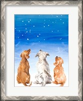 Framed Three Dogs Star Gazing