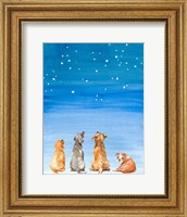 Framed Four Dogs Star Gazing