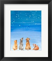 Framed Four Dogs Star Gazing