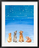 Framed Four Dogs Star Gazing