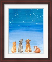 Framed Four Dogs Star Gazing